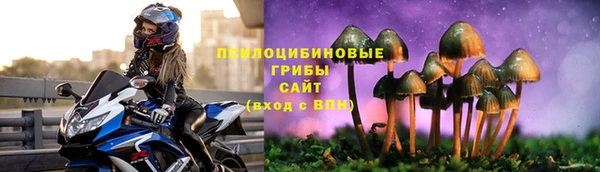 а пвп мука Алексин