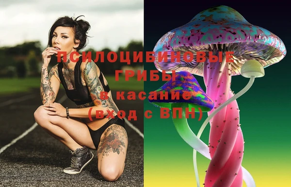каннабис Алексеевка