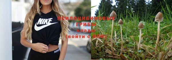 каннабис Алексеевка