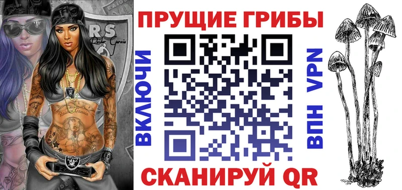 где можно купить   Новозыбков  Псилоцибиновые грибы ЛСД 
